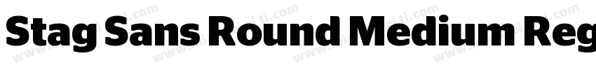Stag Sans Round Medium Regular字体转换